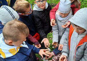 Uczniowie podczas spaceru w parku zbierają kasztany