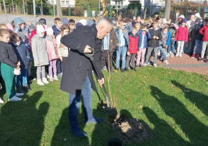 Dyrektor szkoły wraz z uczniami sadzi brzozę na boisku szkolnym