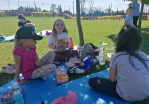piknik