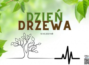 Dzień Drzewa