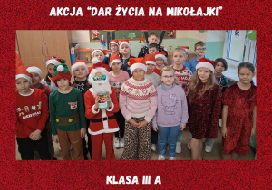 Zdjęcie 1 na 23